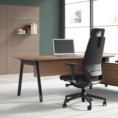 Double Layer Modern Mesh Back Office Chair With Wheels Adjustable Lumbar Support